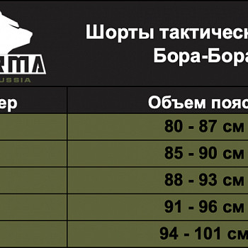 (А) Шорты тактические А-20 Бора-Бора