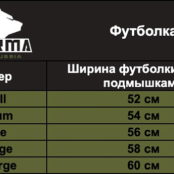 Футболка Ars Arma 10 лет (тип 2)